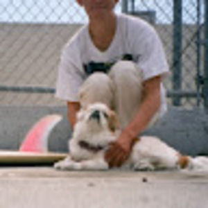 Meet your Posher, Blake